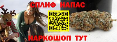 мяу мяу мука Будённовск