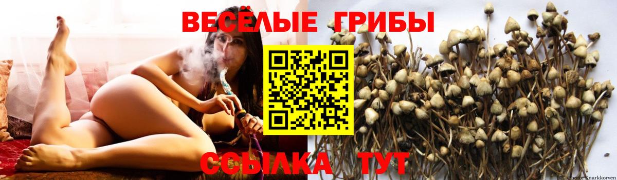 Псилоцибиновые грибы MAGIC MUSHROOMS Буйнакск
